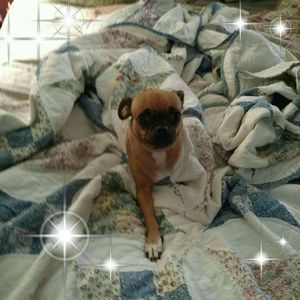 Meet your Posher, Missy